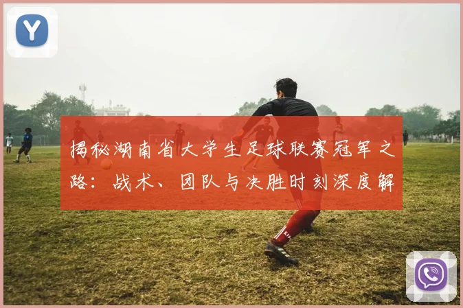 揭秘湖南省大学生足球联赛冠军之路:战术、团队与决胜时刻深度解析