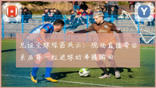 见证全球绿茵风云:现场直播带你亲历每一粒进球的沸腾瞬间