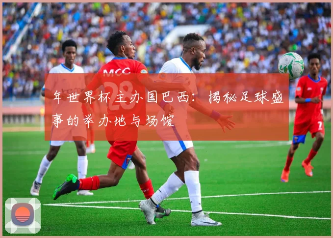 年世界杯主办国巴西:揭秘足球盛事的举办地与场馆