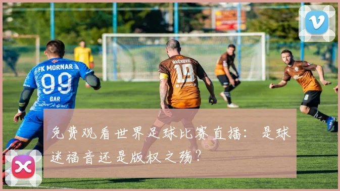 免费观看世界足球比赛直播:是球迷福音还是版权之殇?